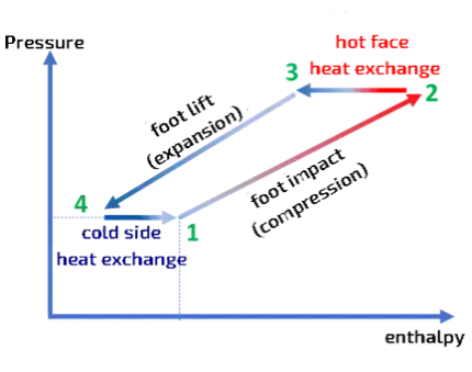 thermodynamic